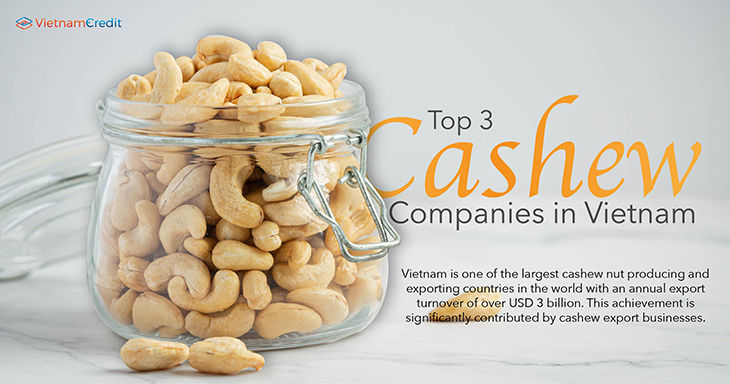 Top 3 cashew companies in Vietnam